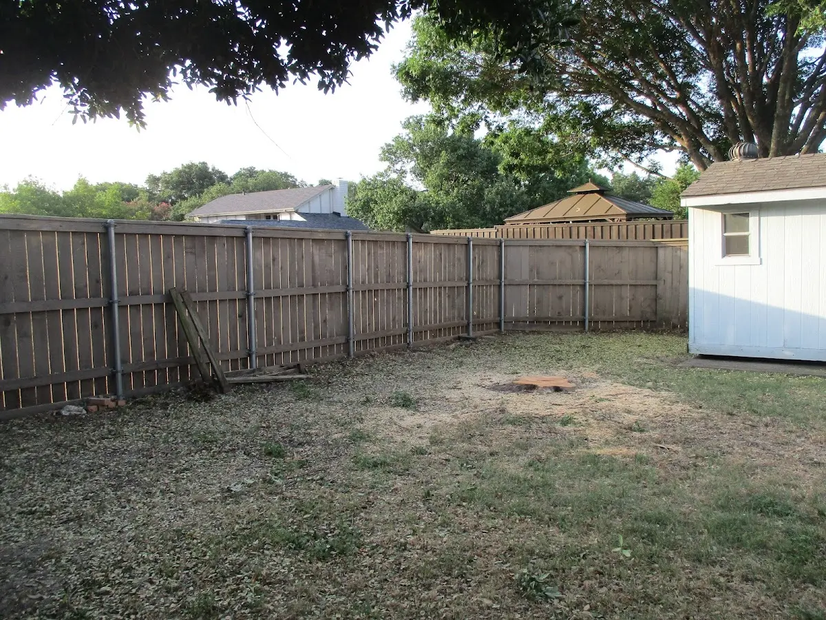 Cleared yard after professional tree removal in Allen Park