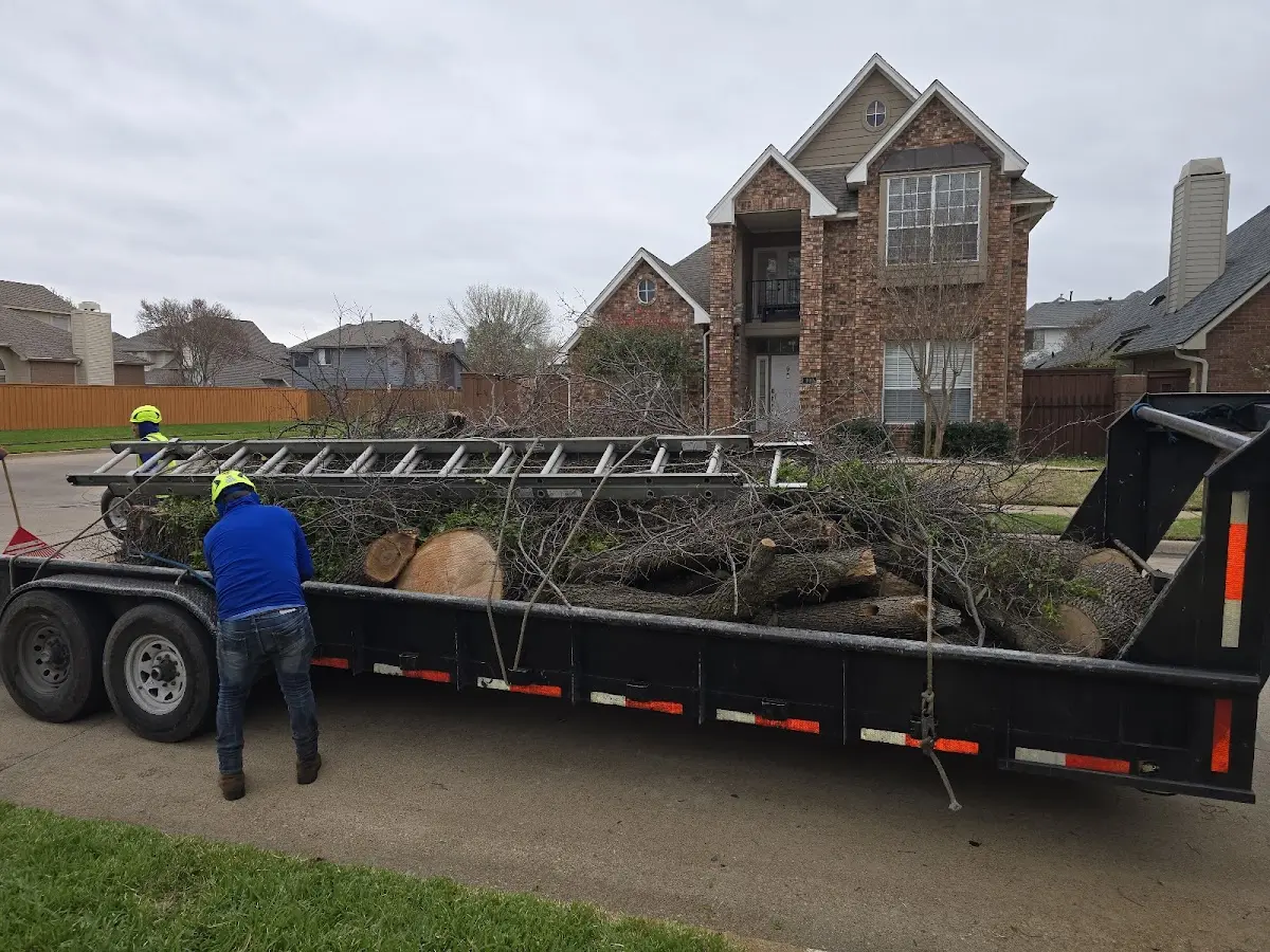 Expert Tree Pest Control with proper safety equipment in Allen Park